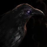 raven1.png